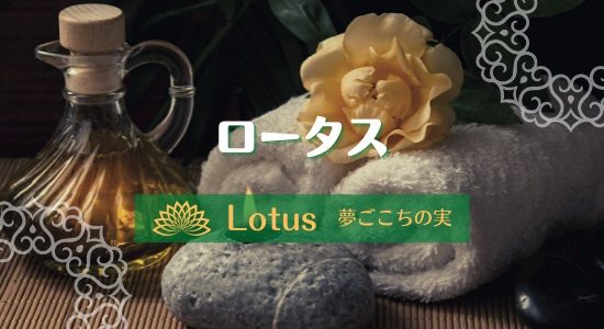Lotus（ロータス）